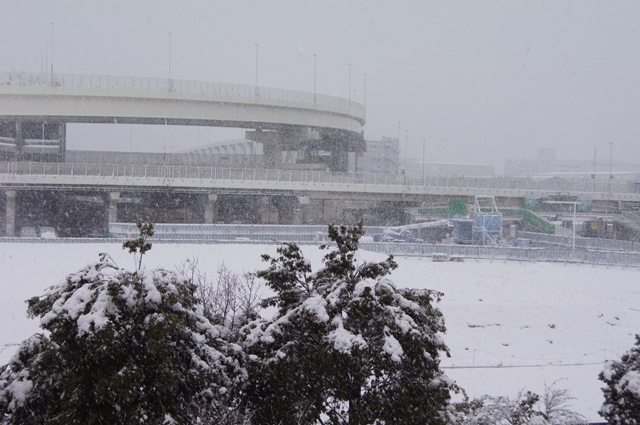 2013.1.14 2:00PM at YOKOHAMA