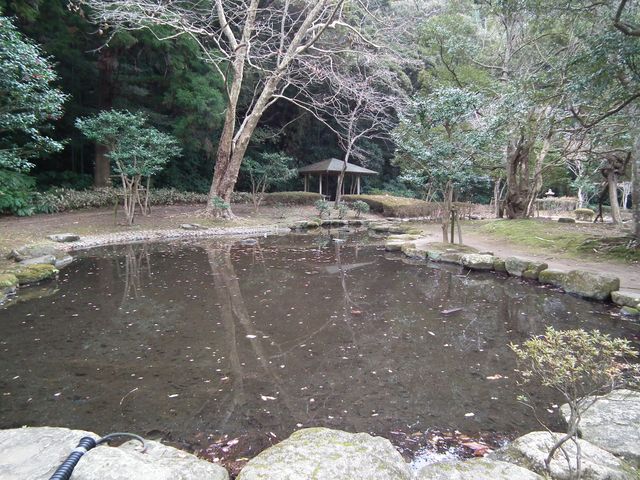 DSCF2198.JPG