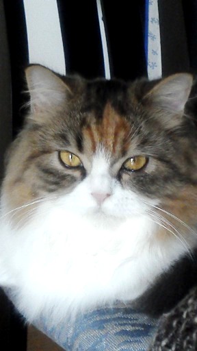 20131204104441.jpg