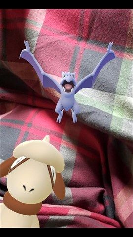 6ページ目の カテゴリ未分類 ポケモンｇｏトレーナーhati 楽天ブログ