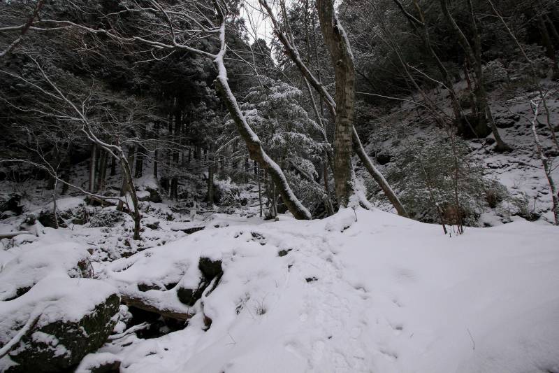 川上村_002.jpg