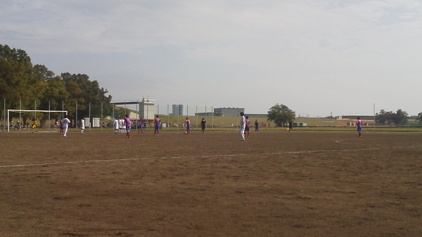P1010631.jpg