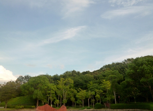 023 (500x361).jpg