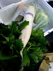 産直野菜