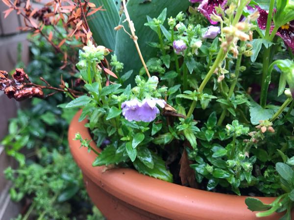 rblog-20190426181100-05.jpg