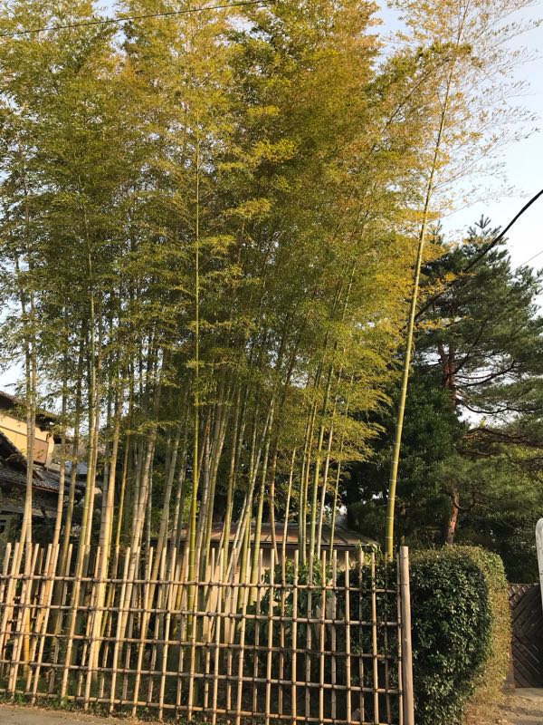 rblog-20180329190129-04.jpg