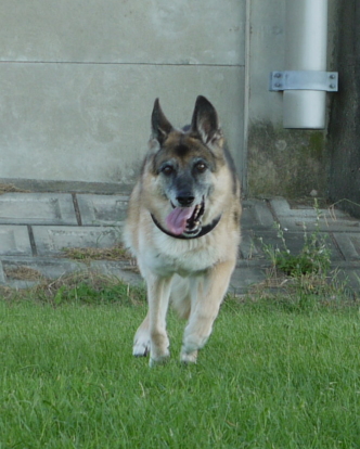 0921a3.jpg
