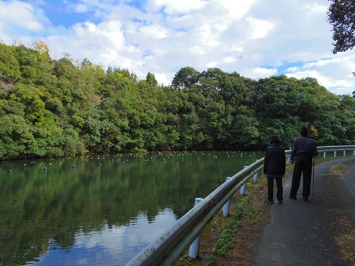 2014_1210_125947-IMGP3493.JPG