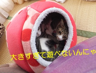 20121025_7.jpg
