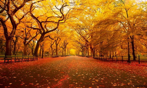 1_potd-sep10-2012.jpg