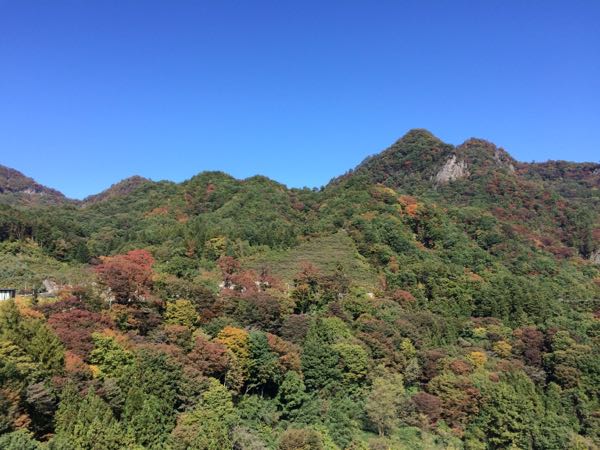 rblog-20151024102701-04.jpg