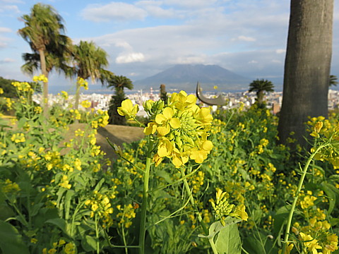 10 IMG_0639.jpg