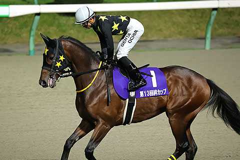 菅原勲元騎手直筆サイン 菅原勲元騎手直筆サイン