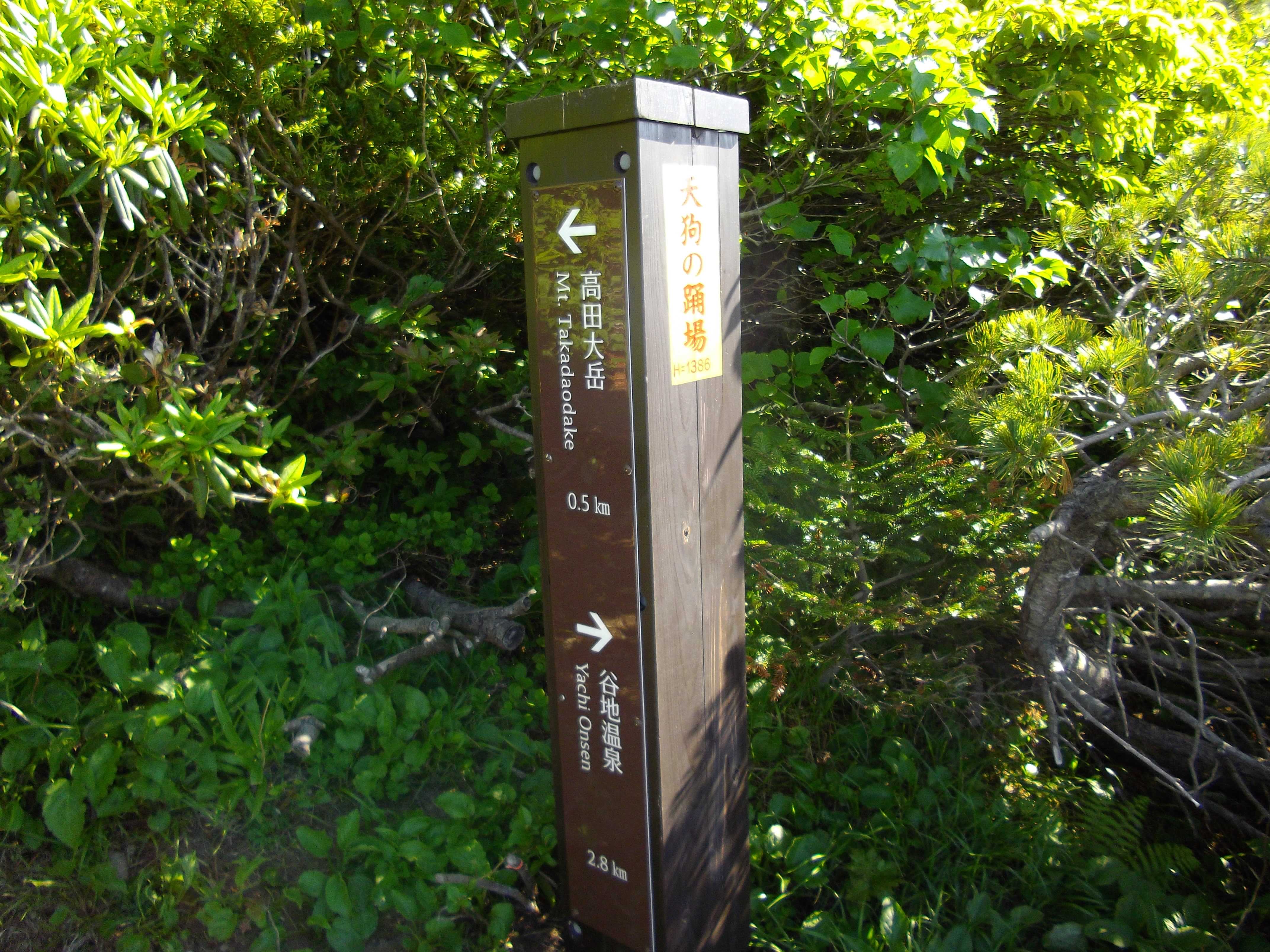 初夏の八甲田山高田大岳登山はNWで。 | ANWC 青い森ノルディックウォーキングクラブ - 楽天ブログ