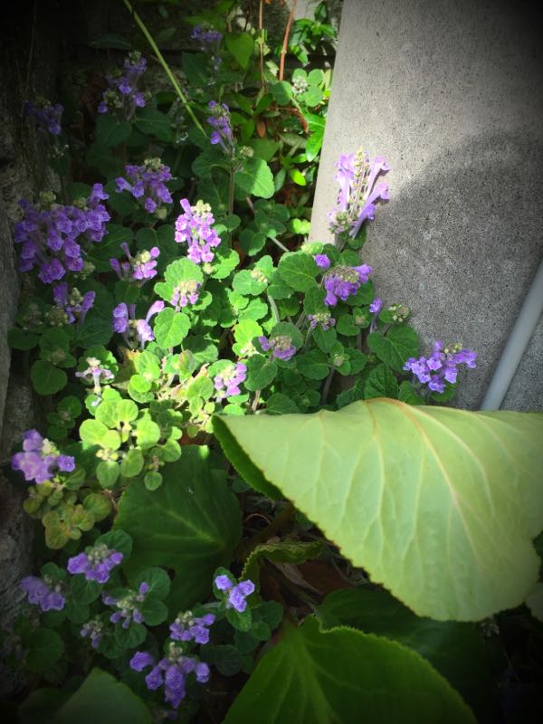 rblog-20150430203756-02.jpg