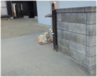 素通り1.jpg