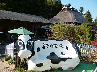 P1260775ss.jpg