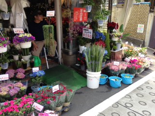 IMG_0936.jpeg