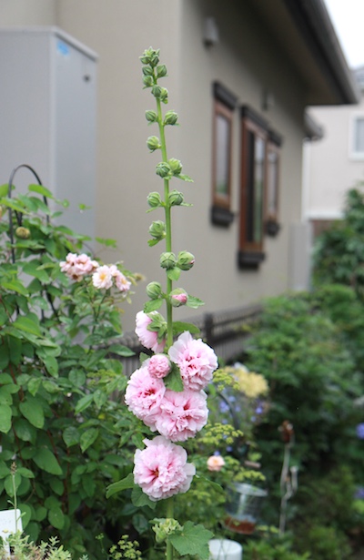 150614_03.jpg