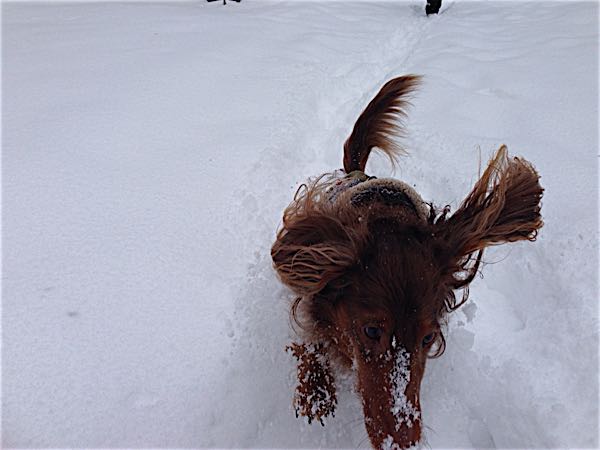 rblog-20150217153600-07.jpg