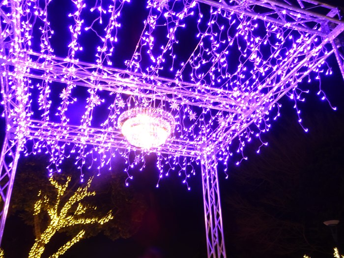 DSC00144_R.JPG