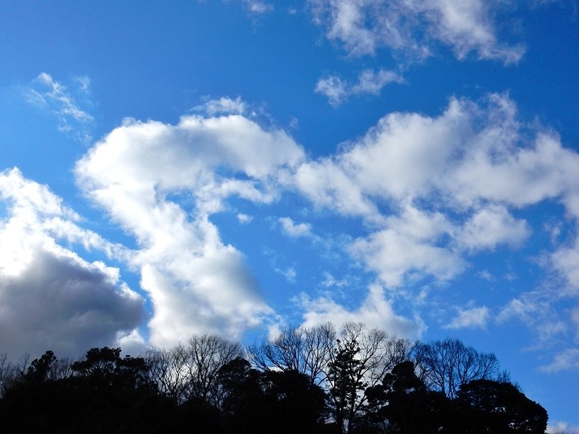 空 4.JPG