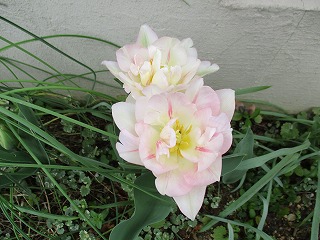 IMG_8892ss.jpg