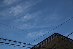 IMG_2274-26.jpg