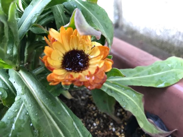 rblog-20170223222238-03.jpg