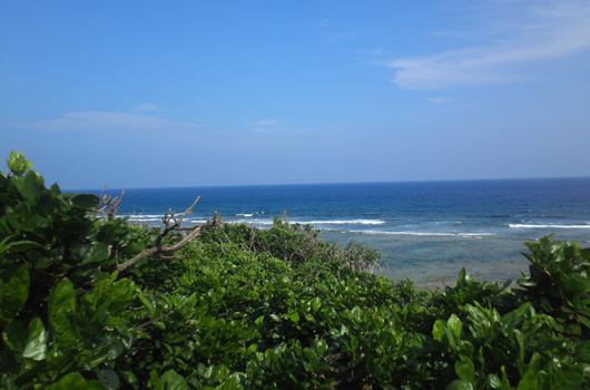 akr-okinawa2.jpg