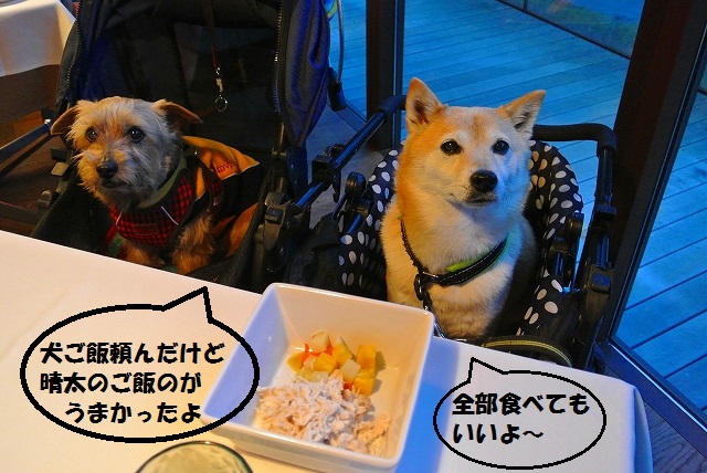 HPでみるよりパサっとしてたかも
