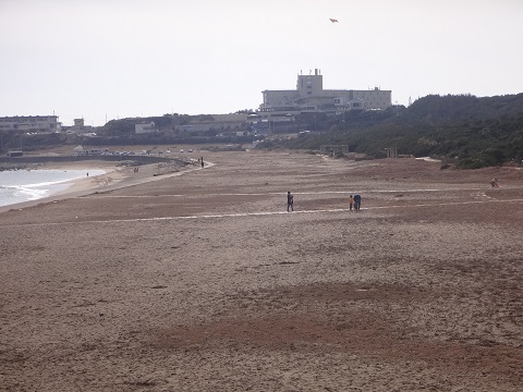 DSC07974.JPG