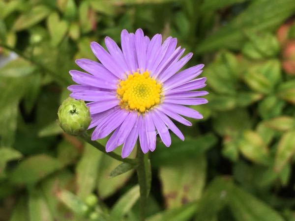 rblog-20170826143046-02.jpg