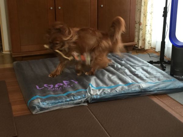 rblog-20160808181307-06.jpg