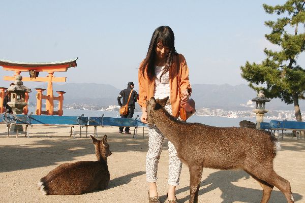 宮島　気まま旅.jpg