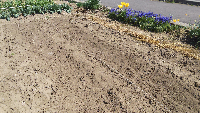 rblog-20150426220139-01.png