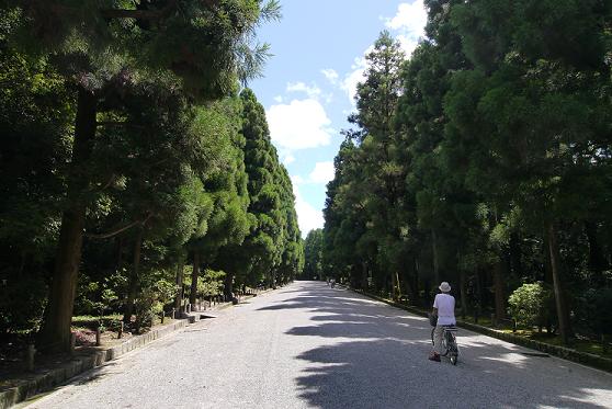 P1000754.JPG