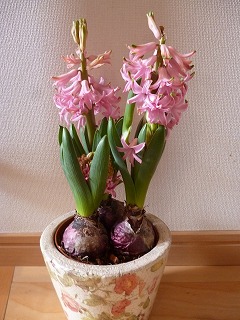 P1280967ss.jpg