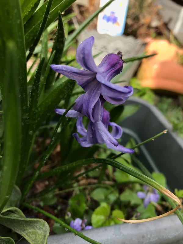 rblog-20190401163907-07.jpg