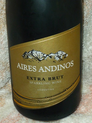 Aires Andinos Sparkling Extra Brut NV.jpg