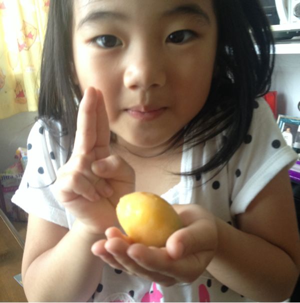 rblog-20140531162130-01.jpg
