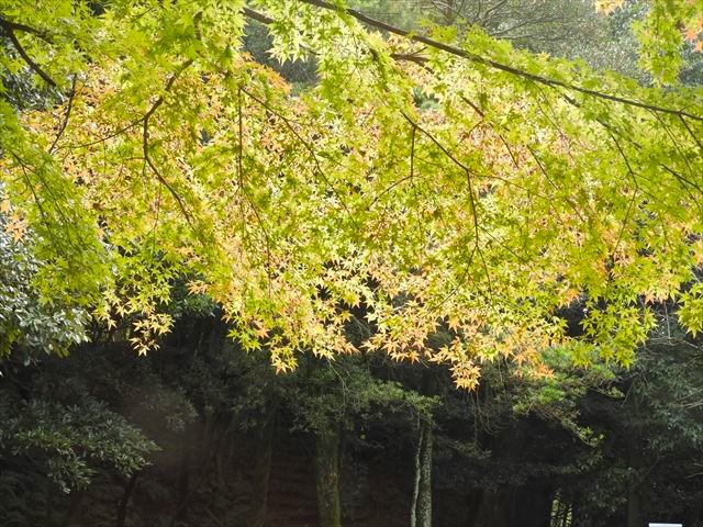 愛知県の続日本100名城小牧山城ー5、主郭に建つ小牧山歴史館 | おじん０５２３のヒロ散歩 - 楽天ブログ