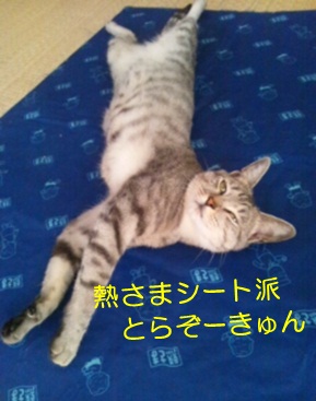20120729_3.jpg