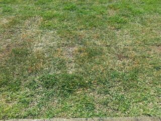 rblog-20140707204327-01.jpg