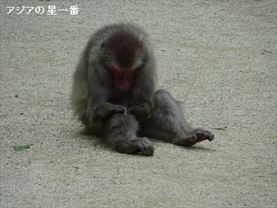 20160514 大分市　由布院11