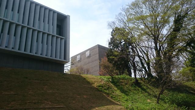 2015-04-18 12.43.40.jpg