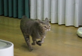 5DA_3325-26.jpg