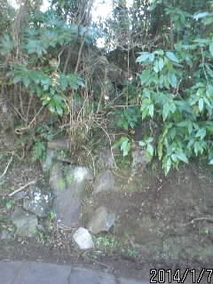 北の曲輪土塁３