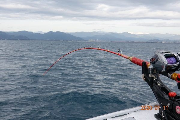 年初釣り 駿河湾の釣り人日誌 楽天ブログ