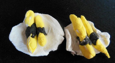 DSCN3542.JPG